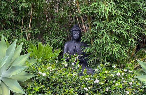 Kiama House | Cabbage Tree Art House. $50 food & drinks voucher for all 3 night winter stays.