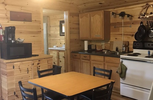 Sioux Narrows Nestor Falls Cabin | Cabin 4 Lakeview Shared Sauna-Hot Tub Patio, Lake Tours, Boat Rental
