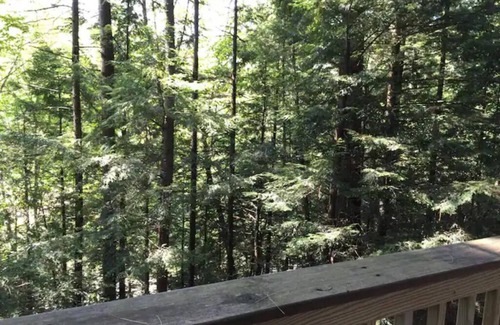 Waterbury Apartment | Cabin 1 Austrian Chalet