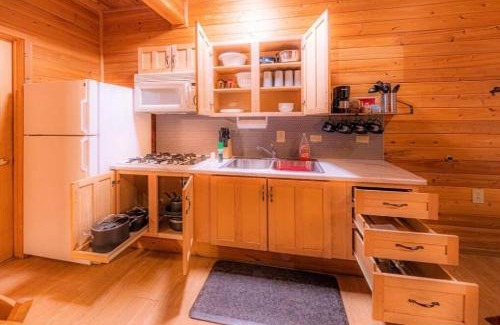 Christopher Creek Ski Chalet | Cabin #1 Buffalo Herd -Pet Friendly - Sleeps 6 - Playground & Game Room