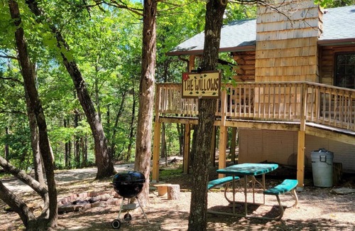 Shell Knob Cabin | Cabin #10-Cozy log cabin nestled in the woods brief walk to Table Rock Lake