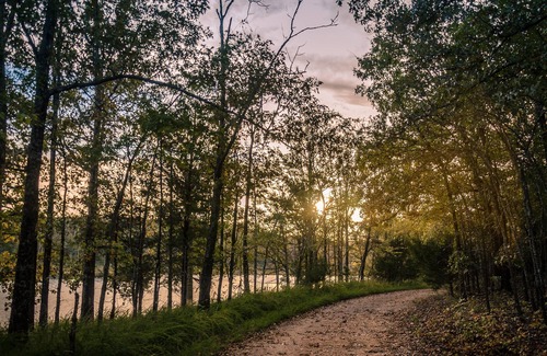Mountain Home Cabin | Cabin 2-bdrms with Pool and Boat Dock Access on Norfork Lake, Arkansas
