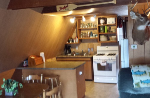Phelps Cabin | Cabin 3 Clean, BIG yard, private dock w 2 kayaks, Internet, TV streaming.