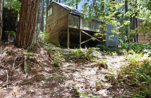 Sea Ranch Hotel | Cabin 55