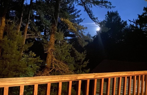 Fries Cabin | Cabin 6 Fall asleep to the sound of the New River's Song
