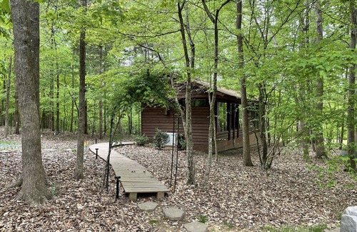 Waxhaw Cabin | Cabin amongst the trees