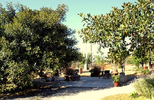 Valle de Guadalupe Cabin | Cabin B Las Orquideas, rustic and comfy, right off the highway
