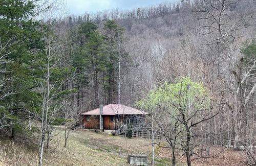 Irvine Cabin | Cabin by the Creek – A Peaceful Hideaway in the Trees