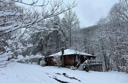 Irvine Cabin | Cabin by the Creek – A Peaceful Hideaway in the Trees