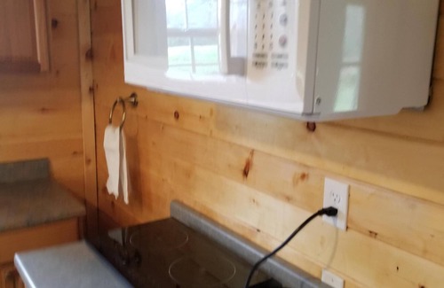 Cambra House | Cabin close to Ricketts Glen State Park available for daily rental. Furnished!
