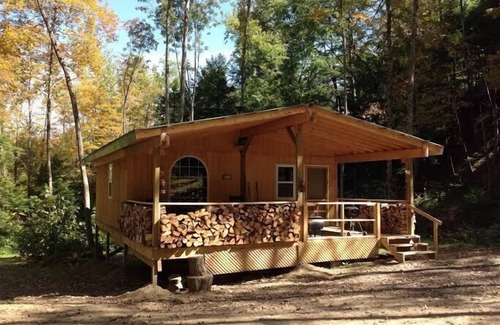 Swain Cabin | Cabin Creek Getaway by Letchworth State Park - Waterfalls & Woods!