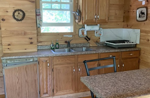 Swain Cabin | Cabin Creek Hide-Away by Letchworth State Park, Waterfalls, Woods, Off Grid.