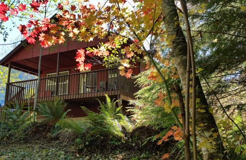 Paradise Estates Cabin | Cabin For Two, Near Mt Rainier, Nisqually entrance.