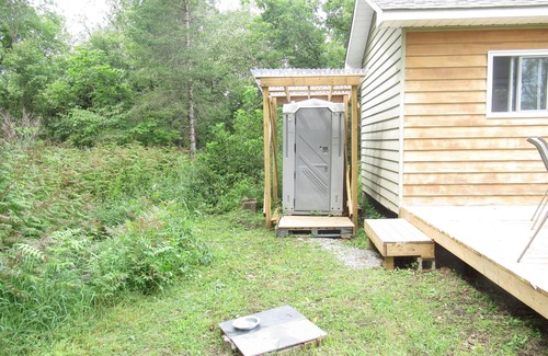 North Kawartha Cabin | Cabin & Forest near Beach