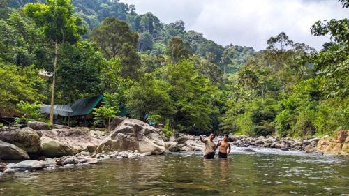 Padang Other | Cabin Glamping