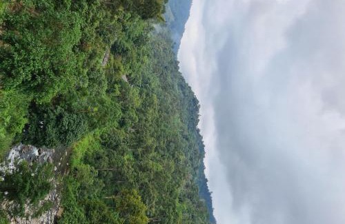 Padang Other | Cabin Glamping