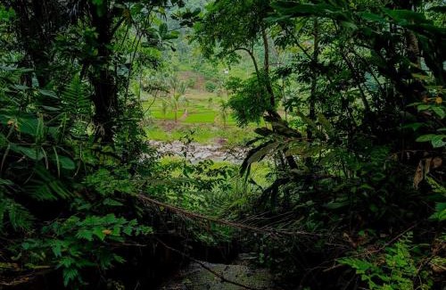 Padang Other | Cabin Glamping