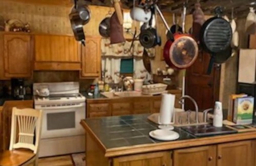 Williamstown House | Cabin hidden in the woods 2 miles off I77 by OH WV border