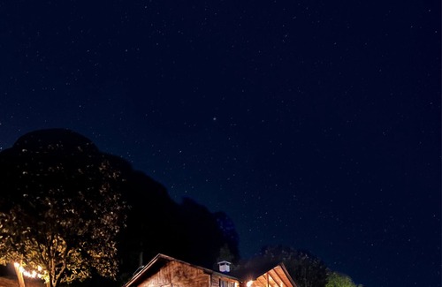 Charo Cabin | Cabin in Private Forest