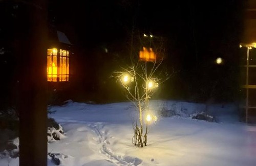 Frontenac Other | Cabin in the Forty Acre Wood