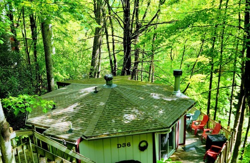 Mill Ridge Cabin | Cabin in the Trees