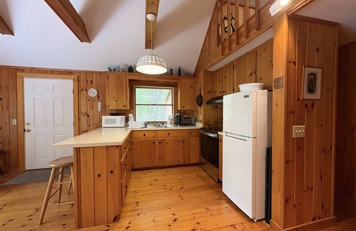 Bristol House | Cabin in the woods/Bristol