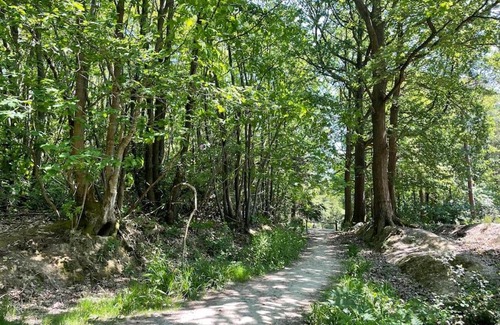 Abbess Roding Apartment | Cabin in the Woods