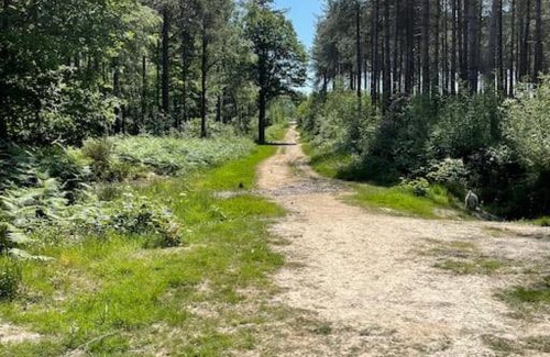 Abbess Roding Apartment | Cabin in the Woods