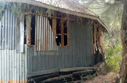 Ngong Cabin | Cabin in the Woods with large hall for camping and events