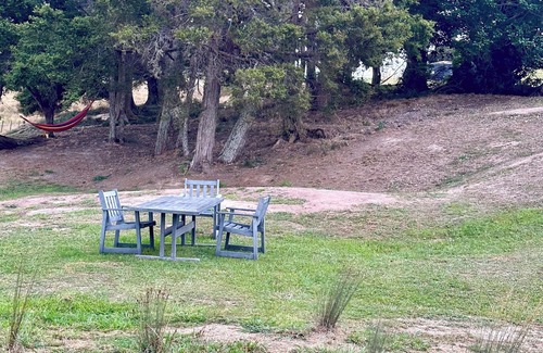 Whakapirau Cabin | Cabin Kaipara bliss/peaceful, . Pet friendly