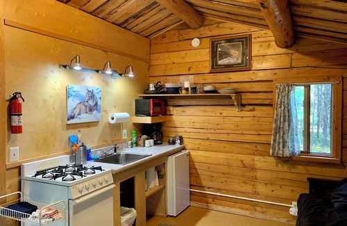 Sterling Cabin | Cabin near Kenai River