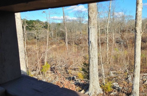 Alexander City Cabin | Cabin On 40 Acres