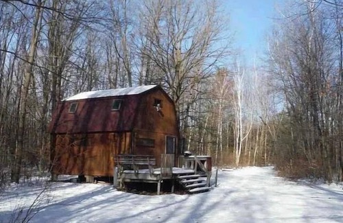 Sumner Cabin | Cabin on Pine River-Sleeps 5