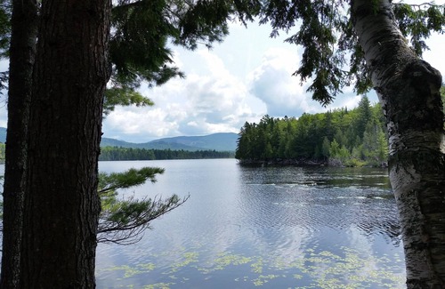 Greenville Cabin | Cabin on Prong Pond near Moosehead Lake
