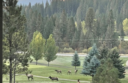 Garden Valley Cabin | Cabin on the Golf course~Hot Springs~Pickleball~Pet Friendly!