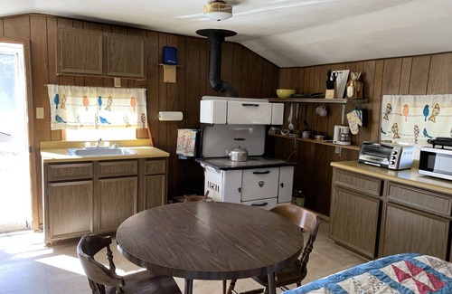 Creede Cabin | Cabin on the Rio Grande River With Private Fishing Right Outside Your Door!