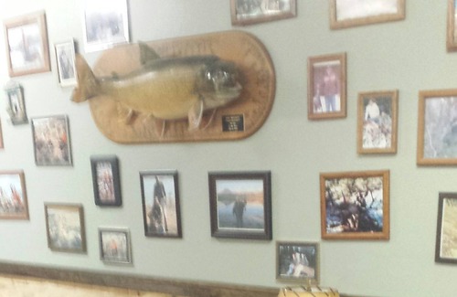 Crawford Cottage | Cabin rental, Crawford's best lodging choice and value. Fully stocked, kitchen
