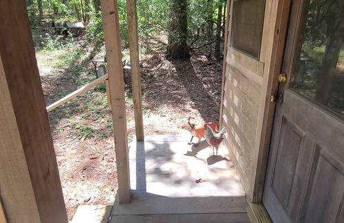 Gardner Cabin | Cabin retreat on 11 wooded acres W of Alexandria; AC WiFi smart TV; 14 night min