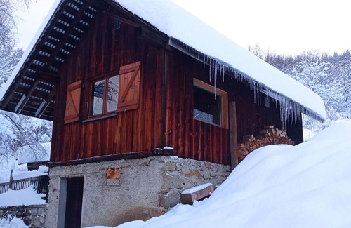 Le Bouchet-Mont-Charvin Ski Chalet | Cabin-style chalet in the heart of nature.
