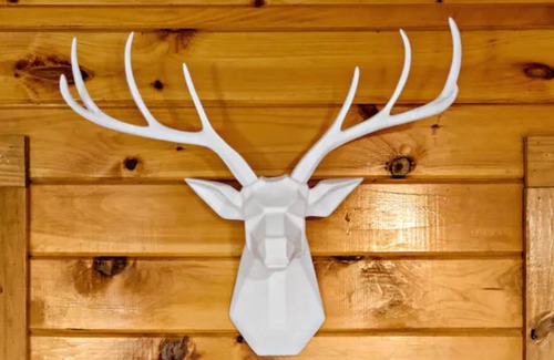 Marion Cabin | Cabin w/ Large Fenced in Backyard, 2 Fire-Pits, Cozy Sofa, Fire-Place, Bike Rack