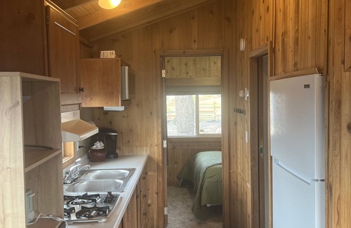 Aurora Cabin | Cabin with a View, pet friendly pets only