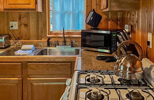 Estes Park Cabin | Cabin with Amazing River Views