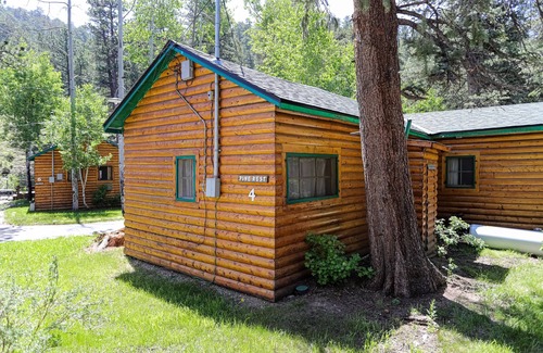 Estes Park Cabin | Cabin with Amazing River Views