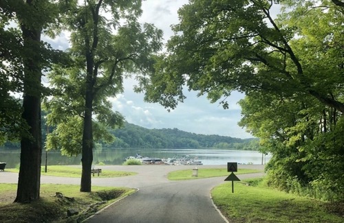 Sharpsburg Cabin | Cabin with firepit,close to great hiking trails,7 min to the lake. Pet- Friendly