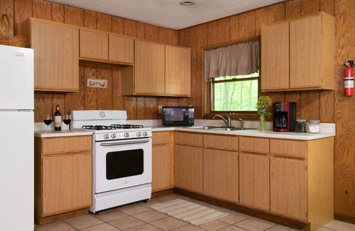Triumph Cabin | Cabin with Kitchen, Whirlpool Tub & Bonfire Pit Near Starved Rock State Park