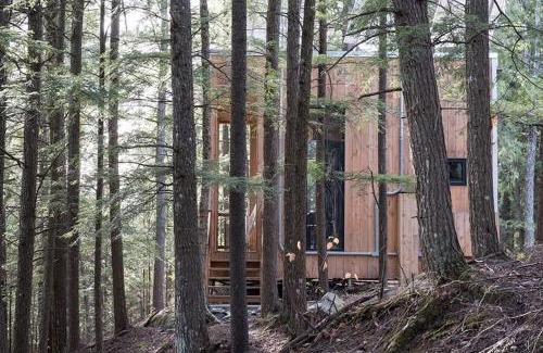 Eastman House | Cabin Zoobox 66