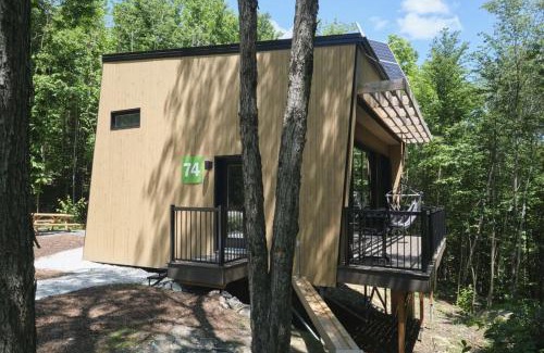 Eastman House | Cabin Zoobox 74