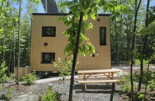 Eastman House | Cabin Zoobox 74