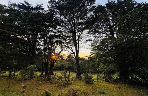 Sierra Apartment | Cabina de las Hojas Monteverde