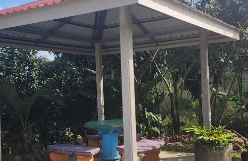 Northern Plains Hotel | Cabinas El Pilón Río Celeste